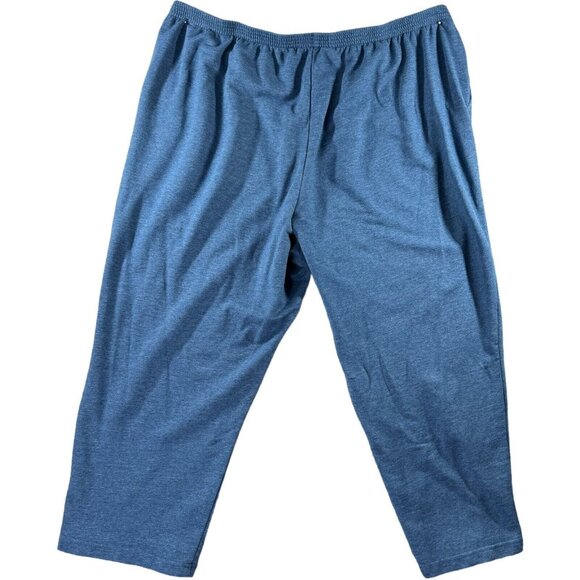 Alfred Dunner Women Size 3XL Pull On Classic Fit Pants Sweatpants XXXL Blue - Picture 1 of 5